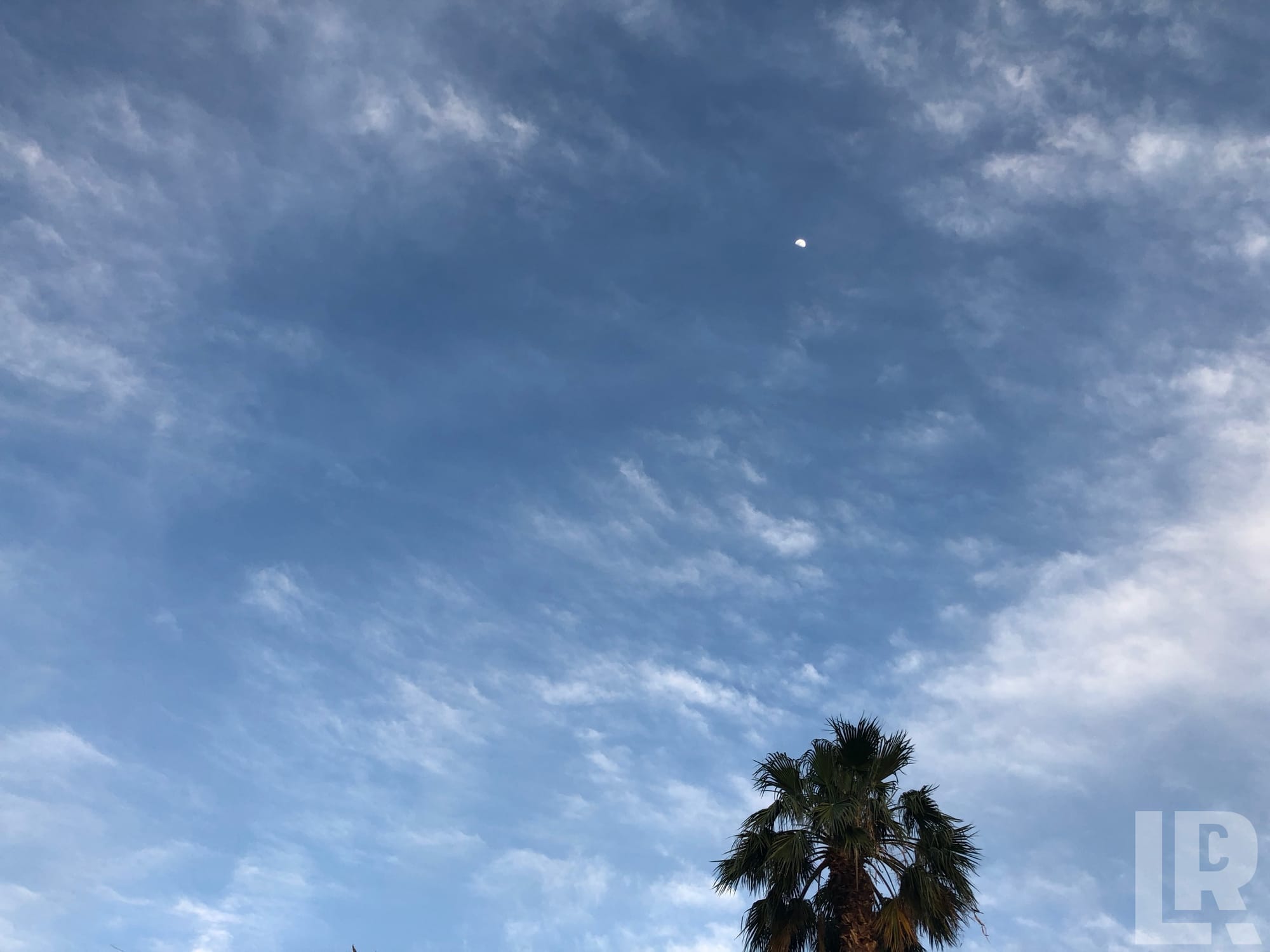 Blue sky with wispy clouds, a palm tree in the lower right corner, and a small moon visible near the top center.