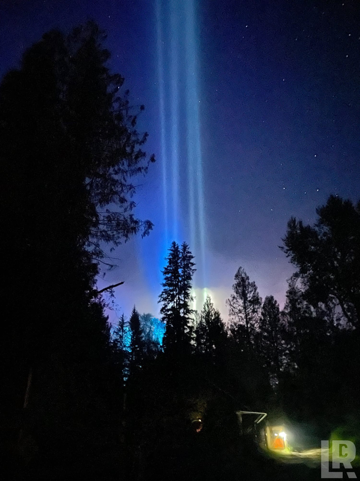 Northern lights with blue pillars rising above silhouetted evergreen trees at night