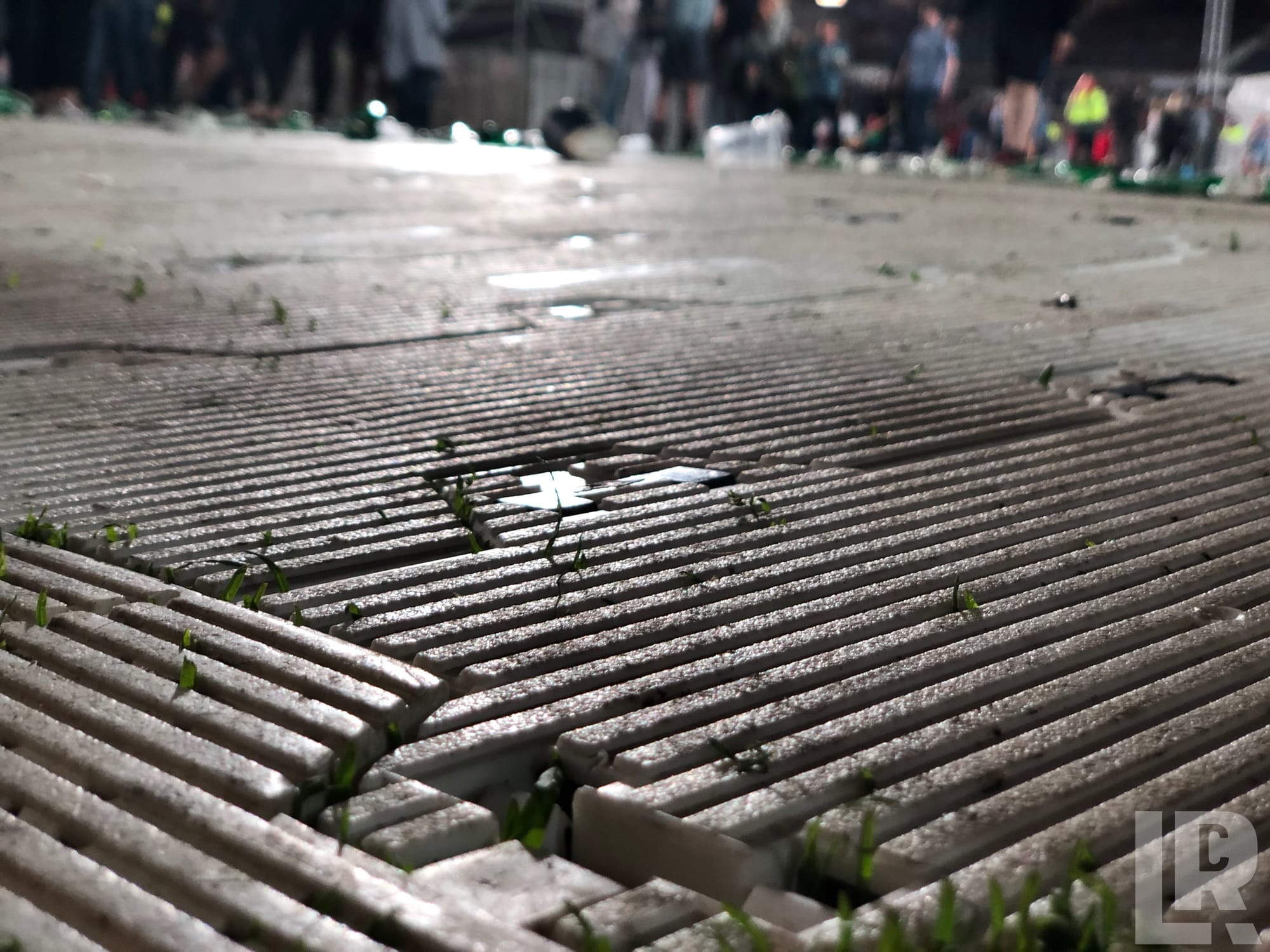Close-up of a wet metal grate with grass growing through it at a nighttime outdoor event