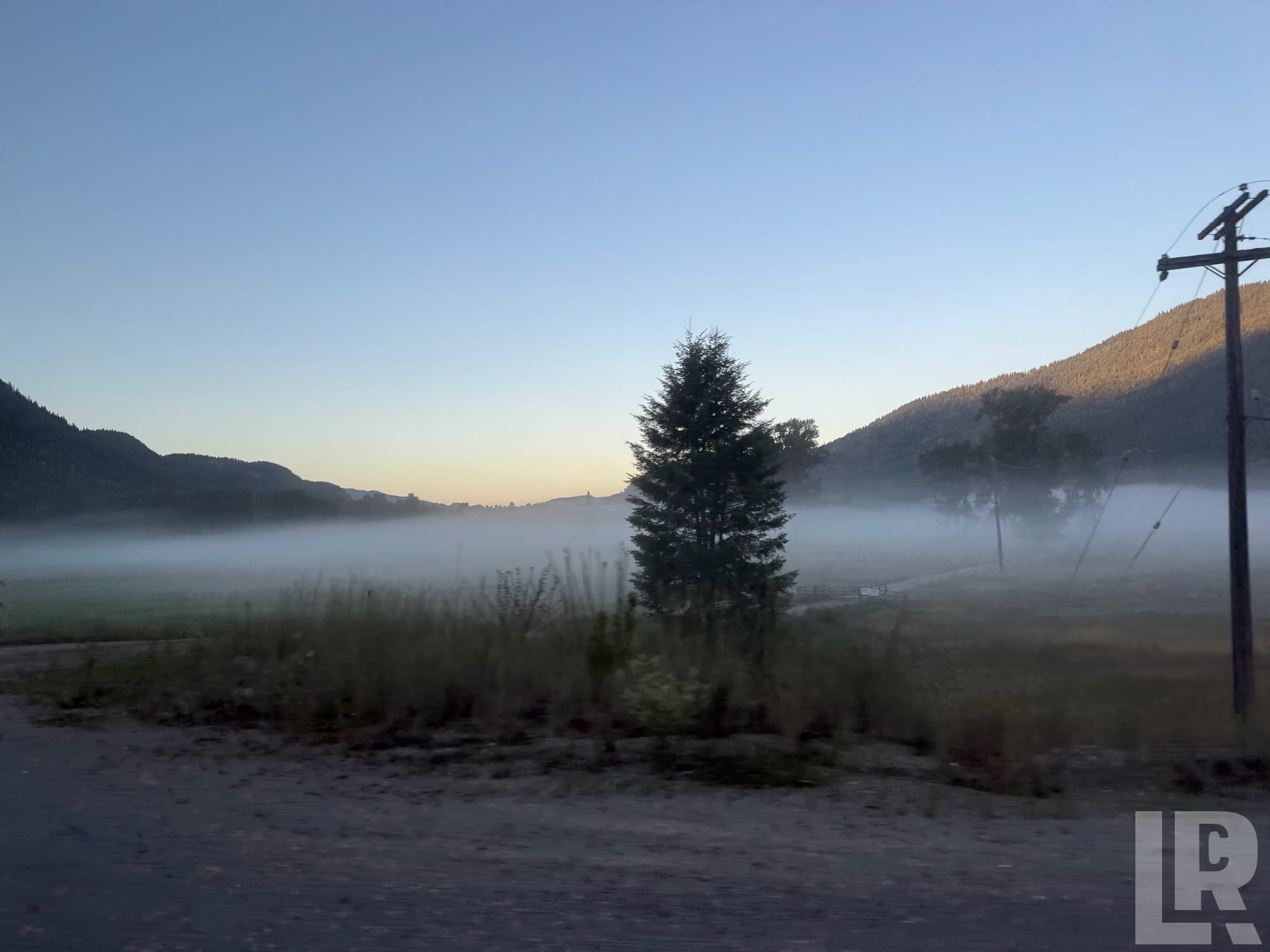 Misty morning valley with a single evergreen tree, fog over a field, and tree-covered hills at sunrise