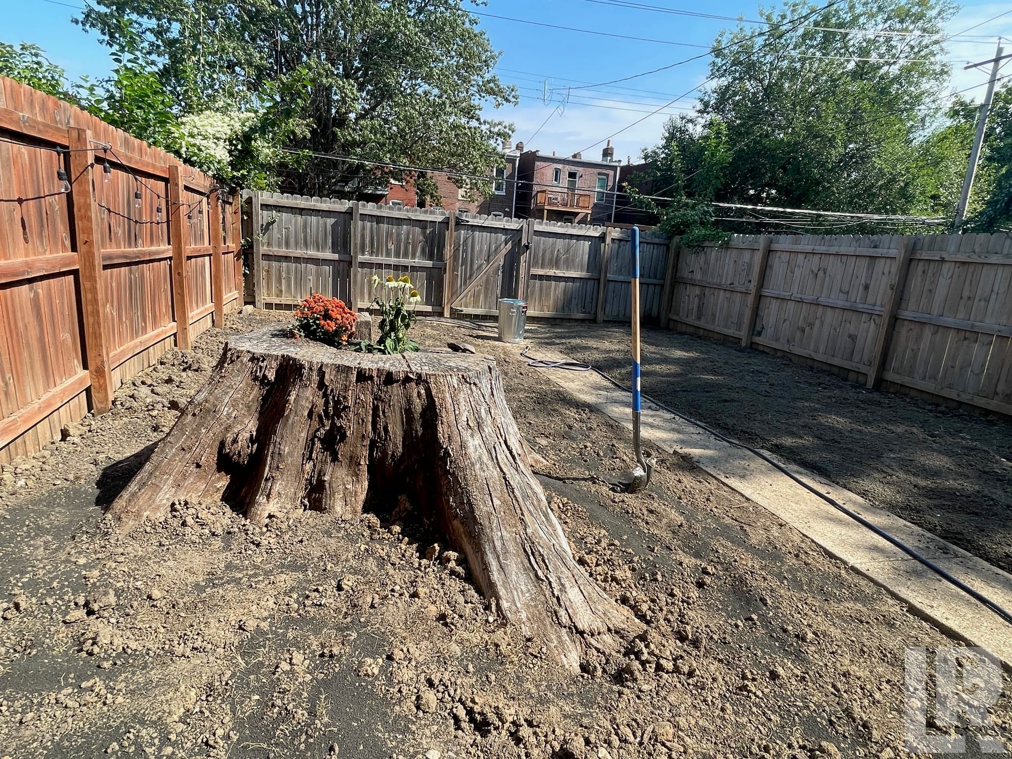 Large old tree stump with orange and yellow flowers in a dirt backyard surrounded by wooden fences