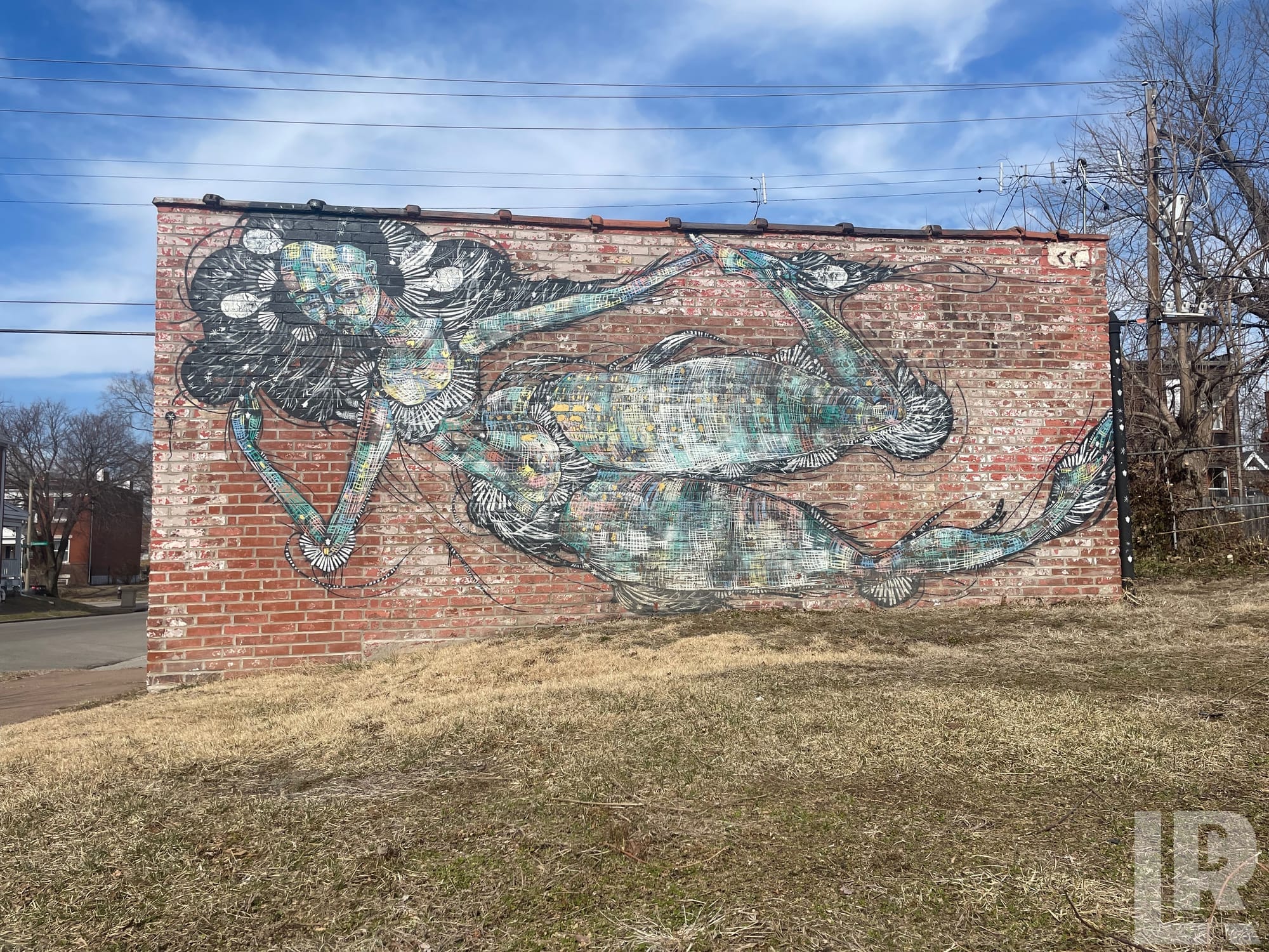 Street mural on brick wall depicting a woman with flowing hair riding a large turtle, painted in teal, black, and white