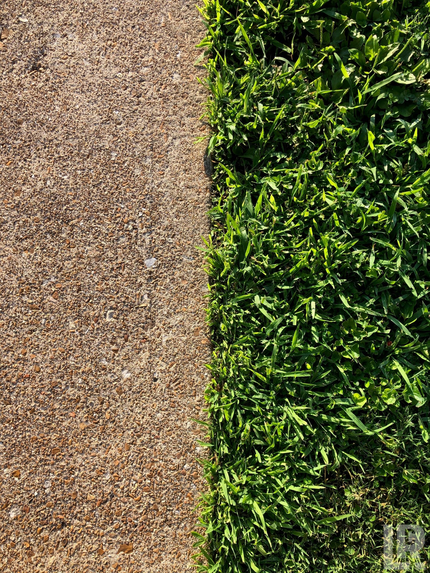 Top-down view of concrete pavement bordering a green grass lawn