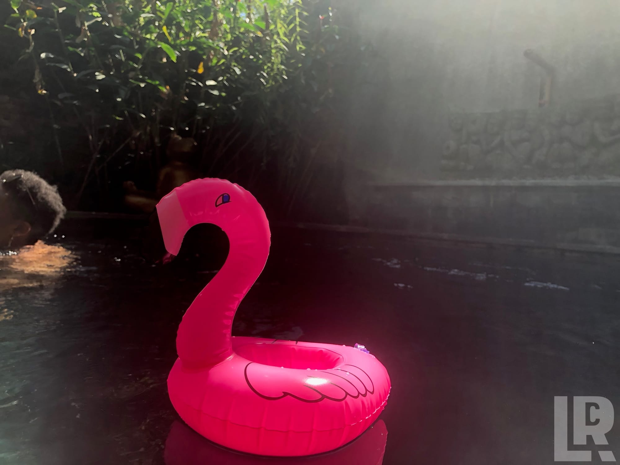 Pink inflatable flamingo float on a dark pool with greenery behind