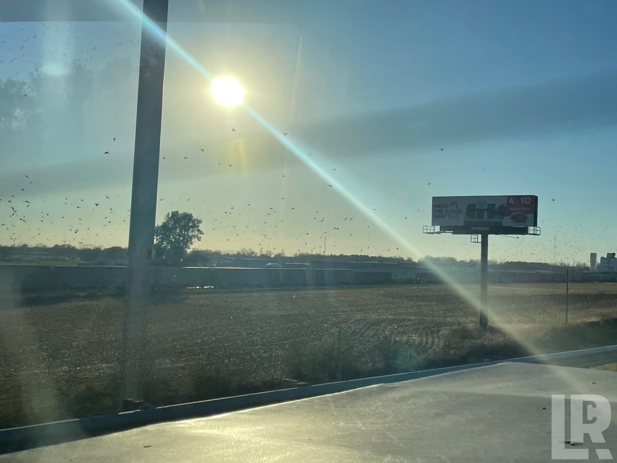 Flock of birds flying over a flat rural field seen through a car window with bright sun and a roadside billboard
