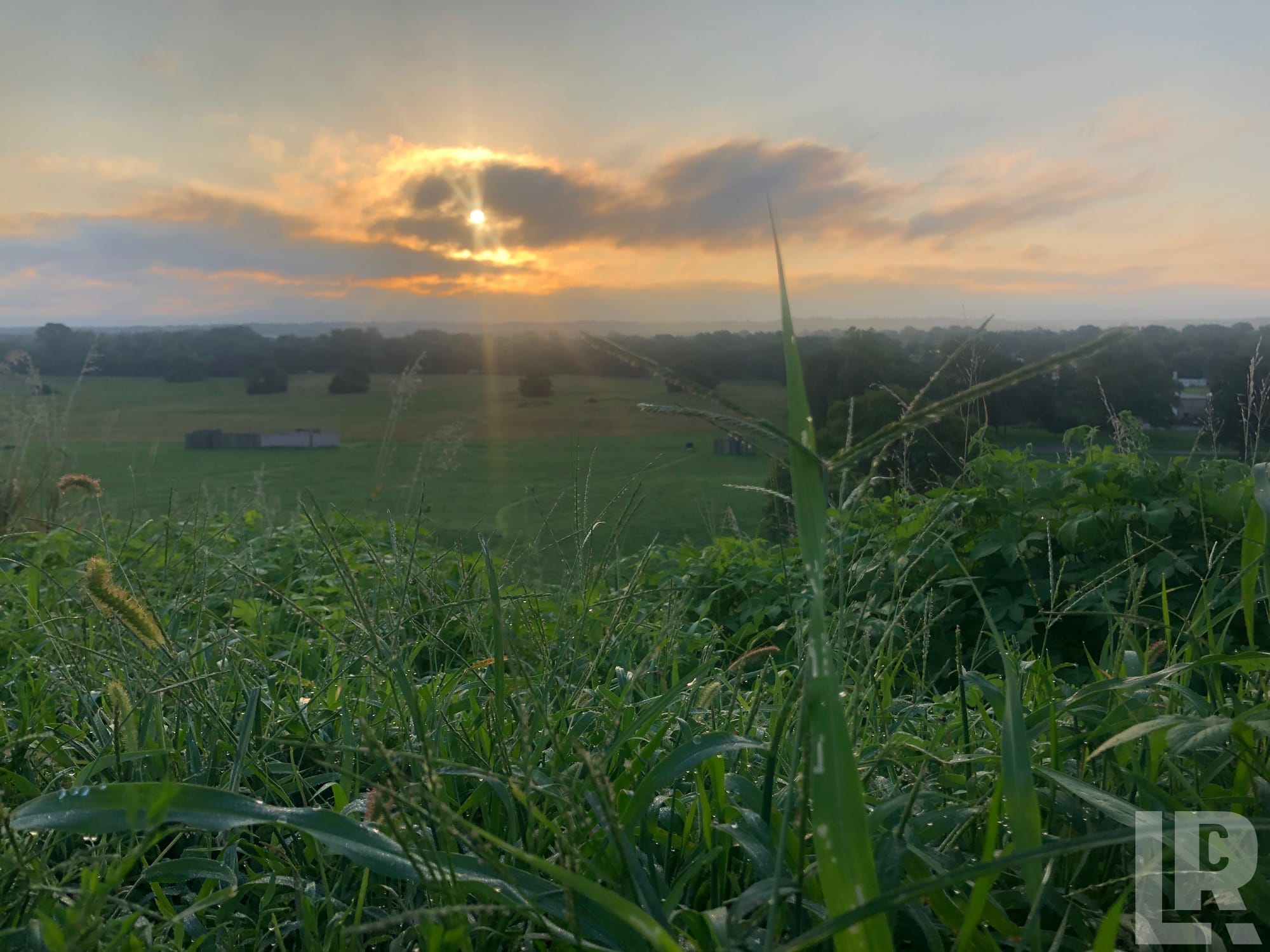 Dew-covered grass in the foreground with rolling farmland and a golden sunrise through clouds in the distance