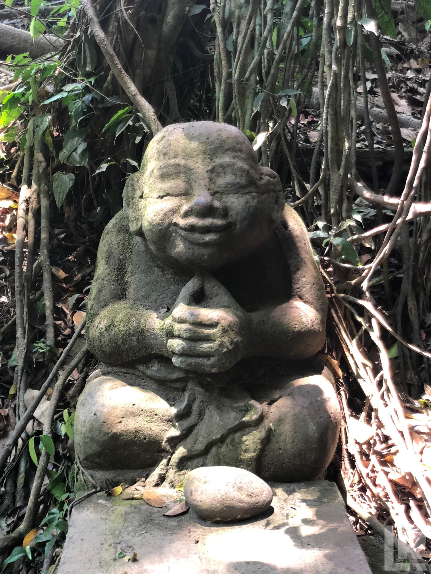 Weathered stone monk statue sitting cross-legged among jungle vines and leaves