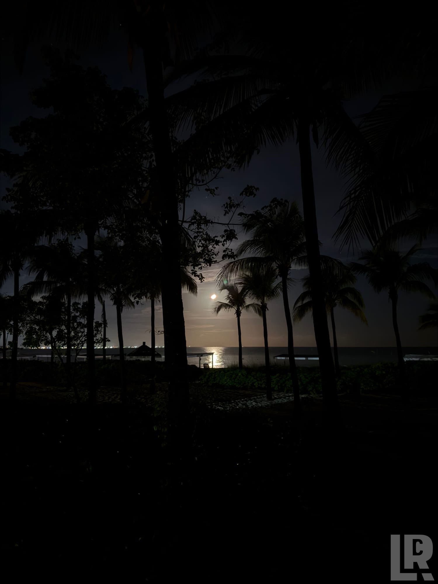 Silhouetted palm trees at night with a full moon reflecting on the sea
