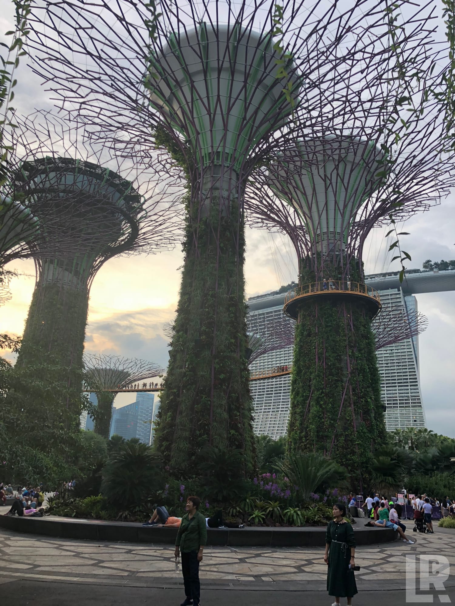 Giant tree-like vertical garden structures with visitors below at sunset