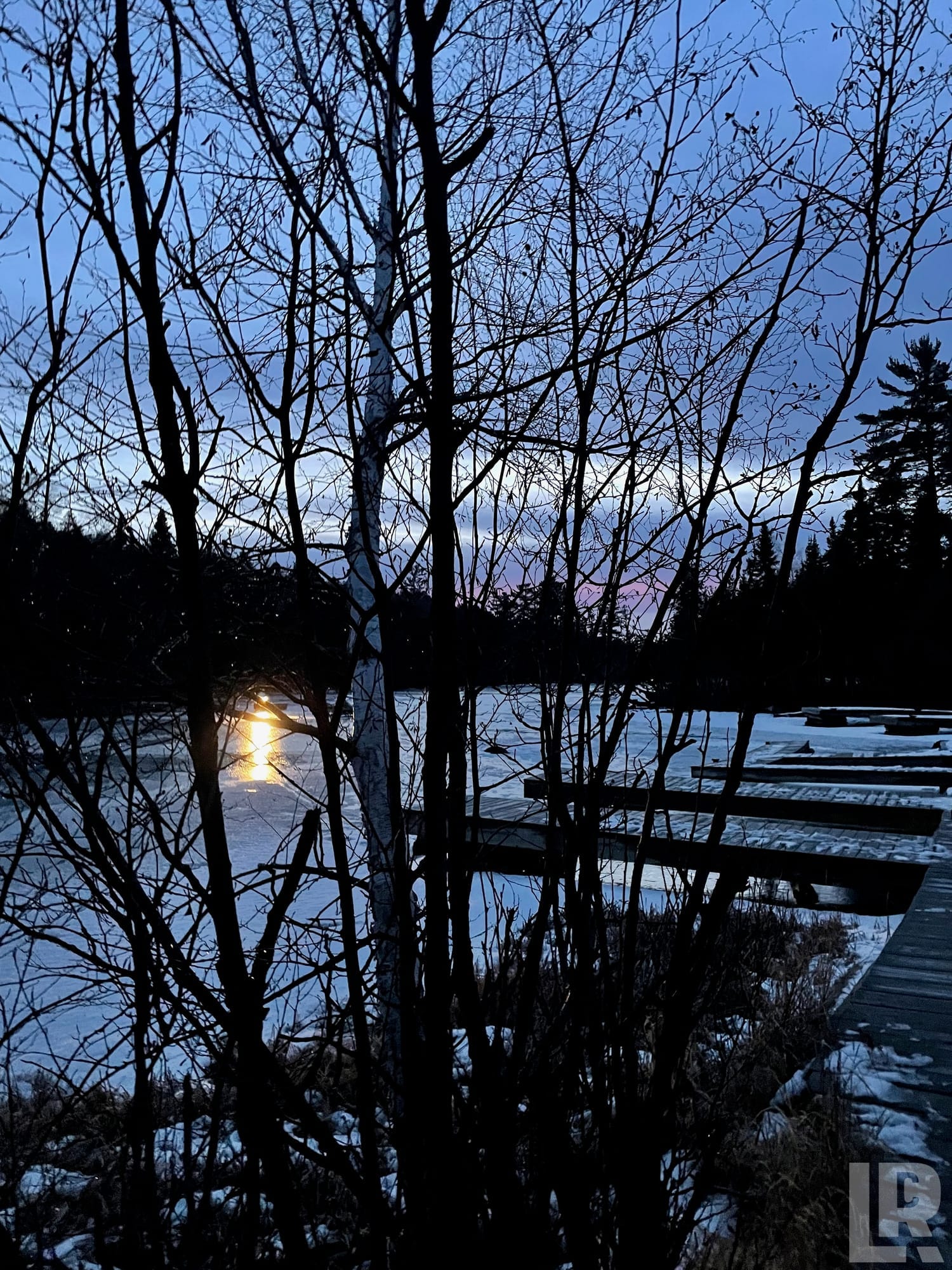 Silhouetted bare trees framing a frozen lake at dusk with a dock and sunset reflection in foreground water