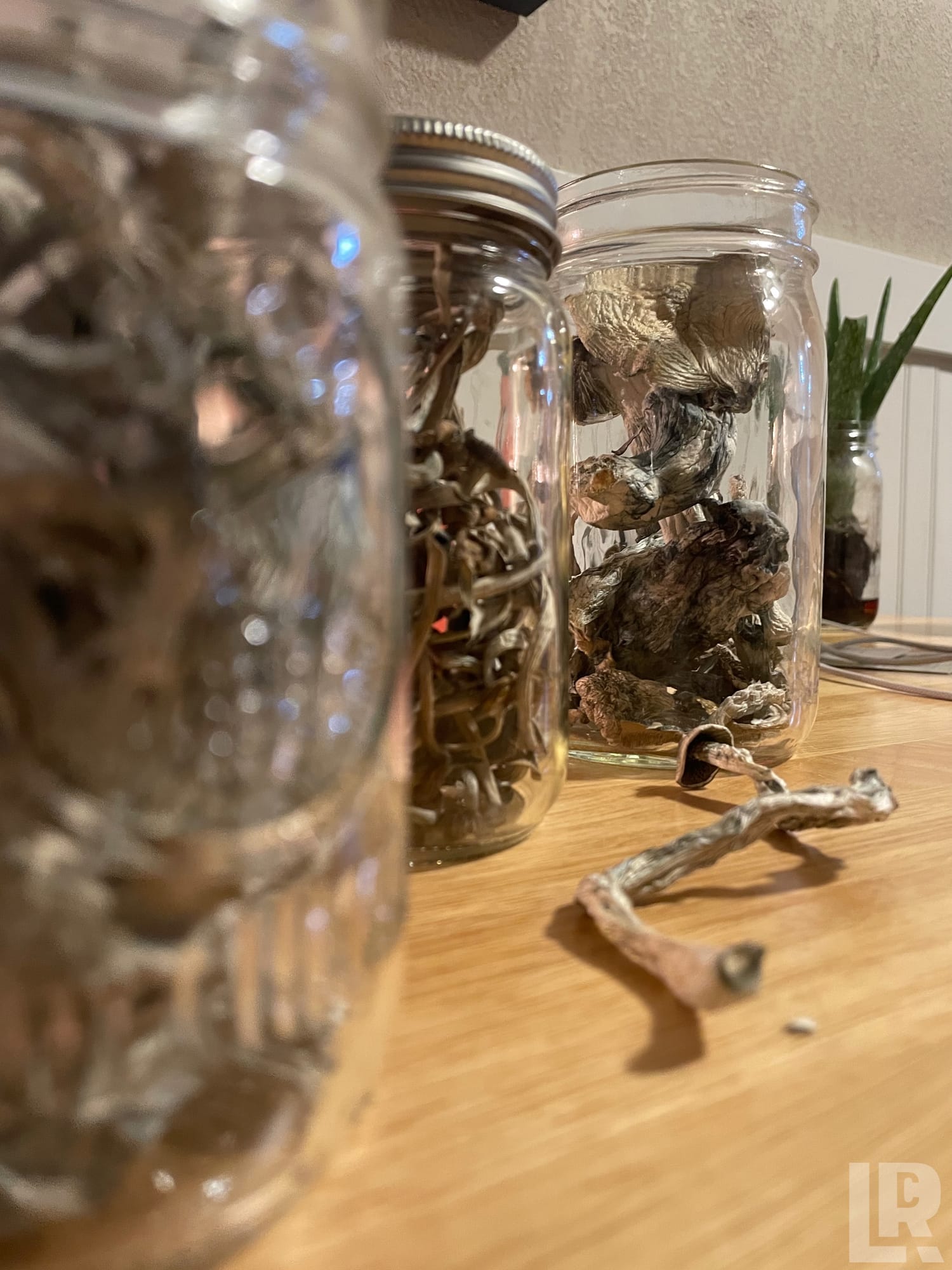 Mason jars containing dried mushrooms on a wooden table