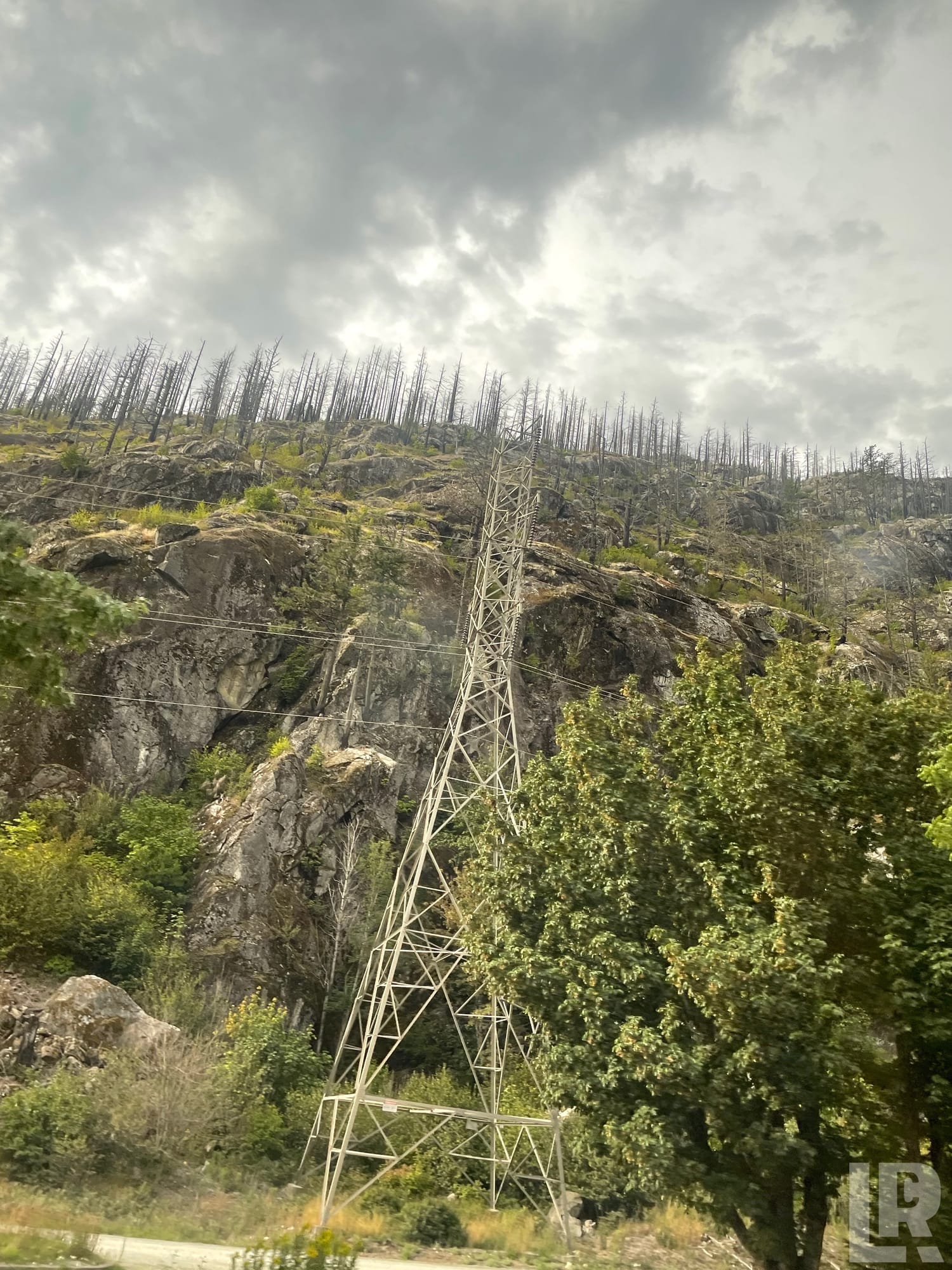 High-voltage power line tower on a rocky slope with fire-damaged trees in the background