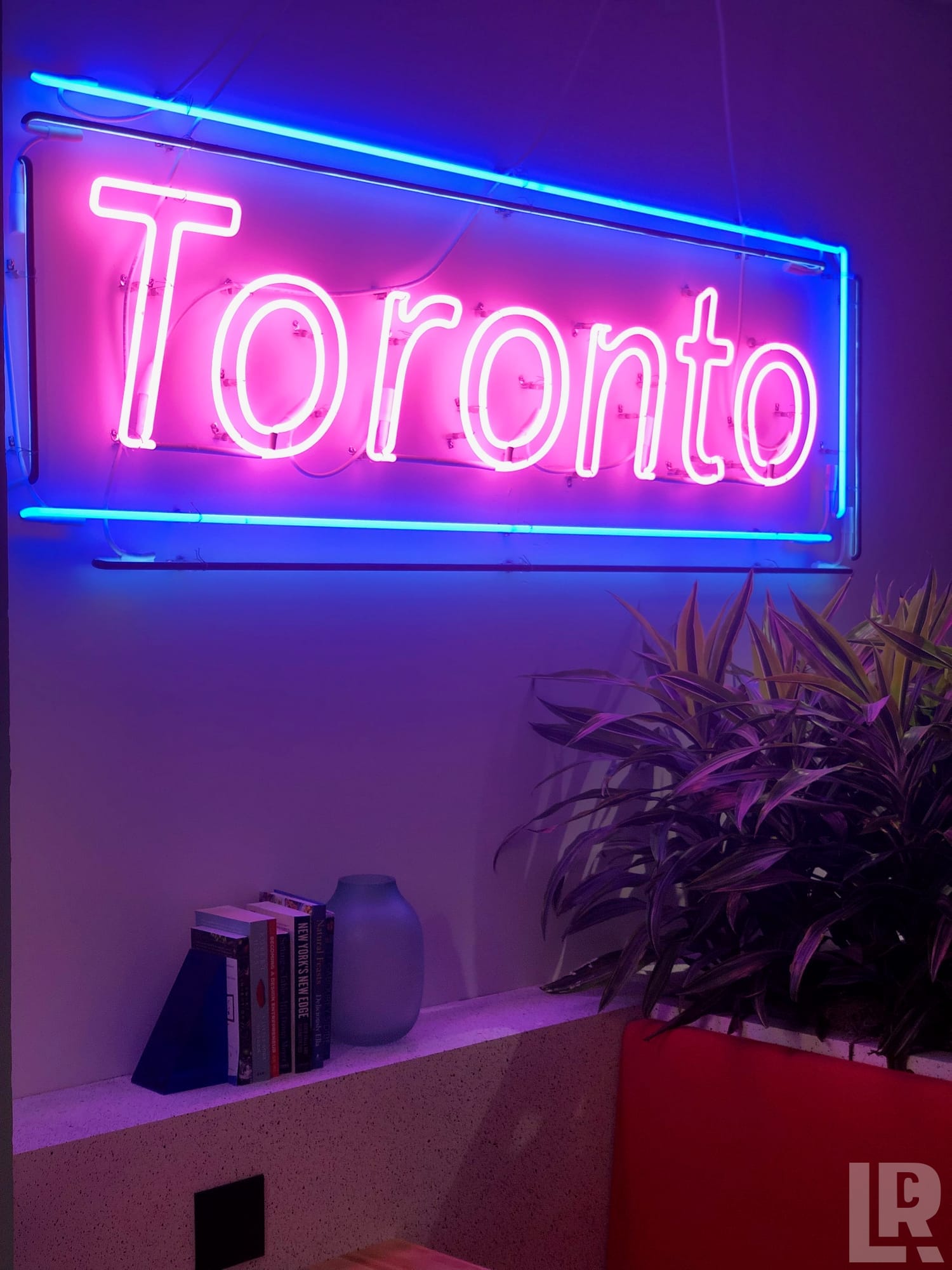Pink neon Toronto sign with blue border above a shelf with books and plants