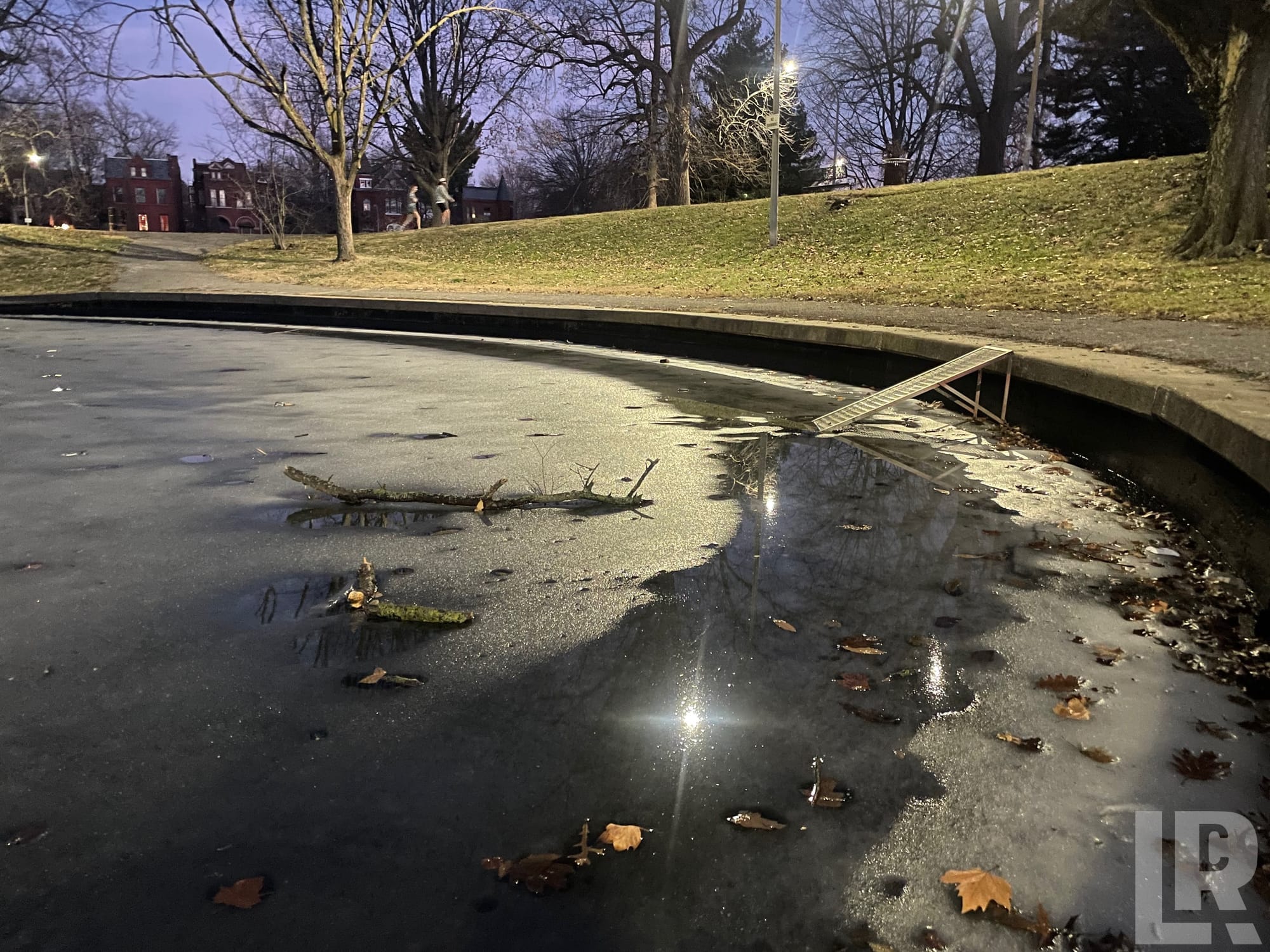 Frozen reflecting pool covered in fallen leaves and a fallen branch at twilight in a park
